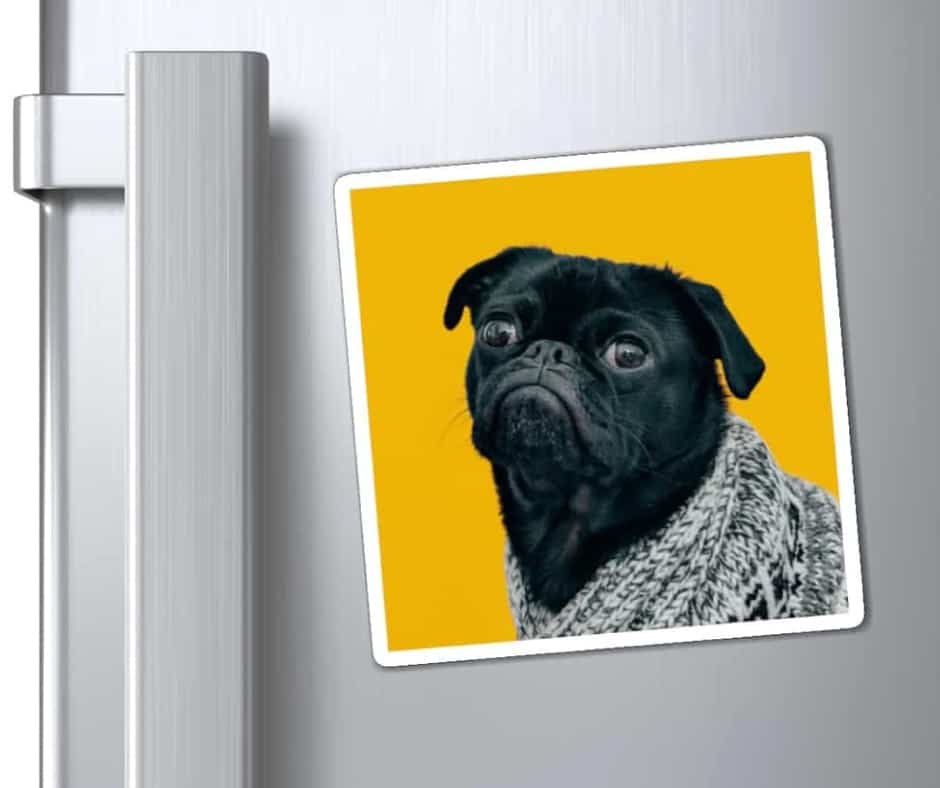 Print on Demand Sticker & Magnet Guide 13