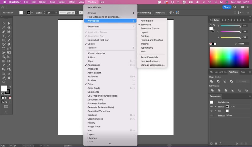 Adobe Illustrator workspace setup tab.