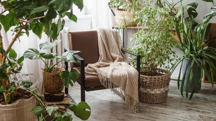 A chair in a room surrounded by green plants.